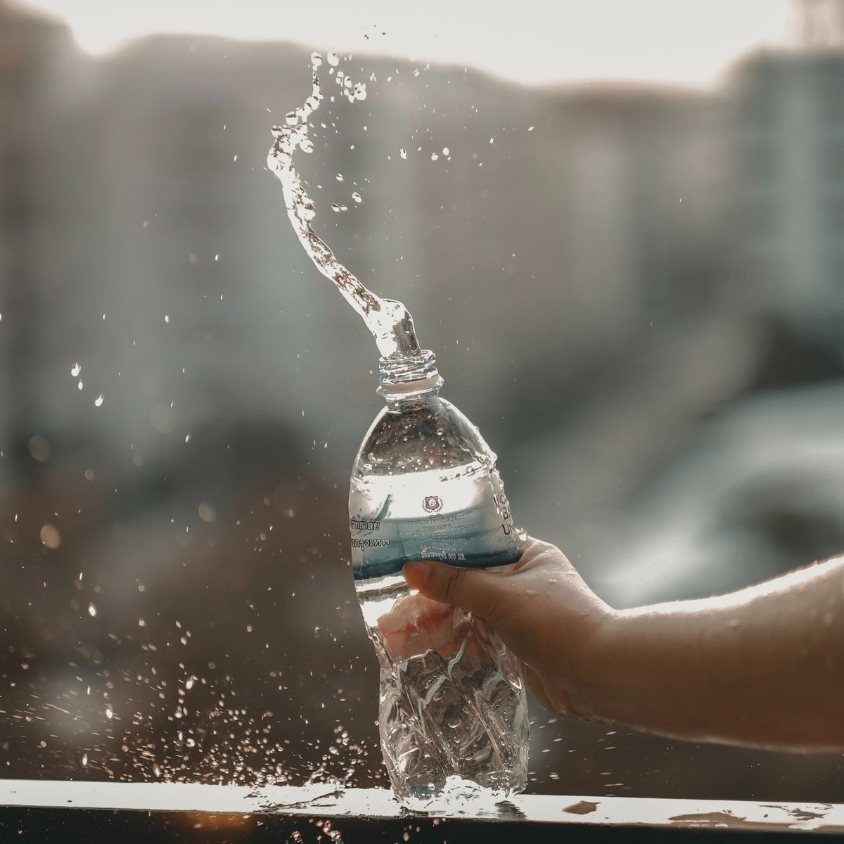 The Truth About Bottled Water—Video by "The Story of Stuff" | Earth Ahead