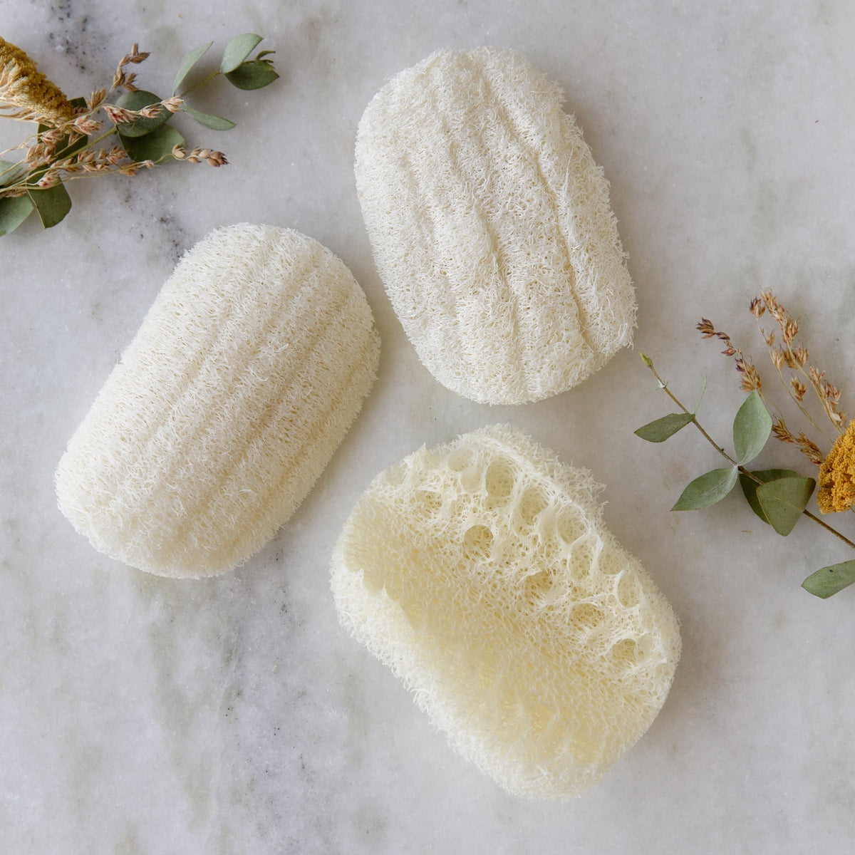 Eco Sponge All Natural Dish Washing Or Body Sponge, Double Loofah