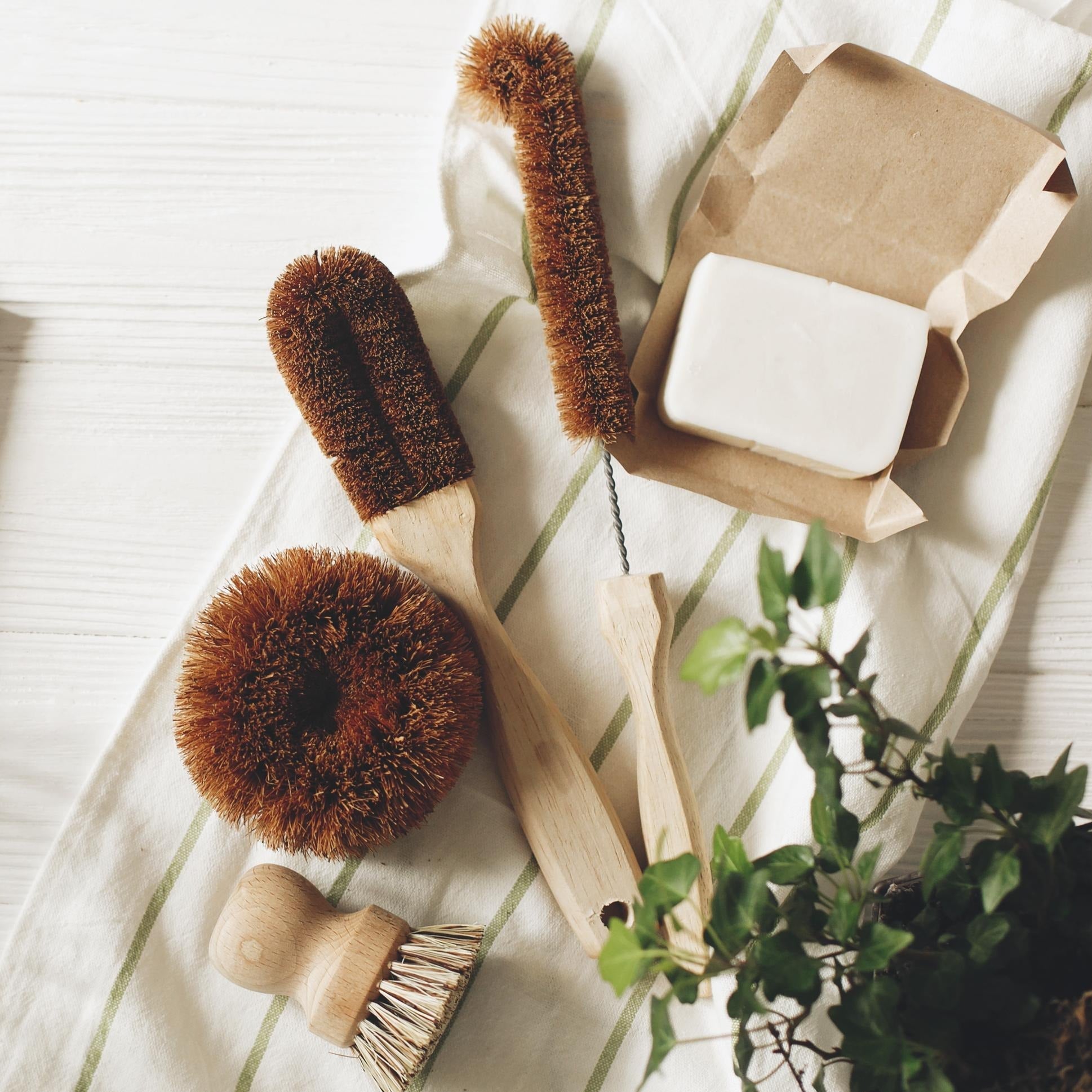EcoCoconut Kitchen Cleaning Brush - Earth Ahead