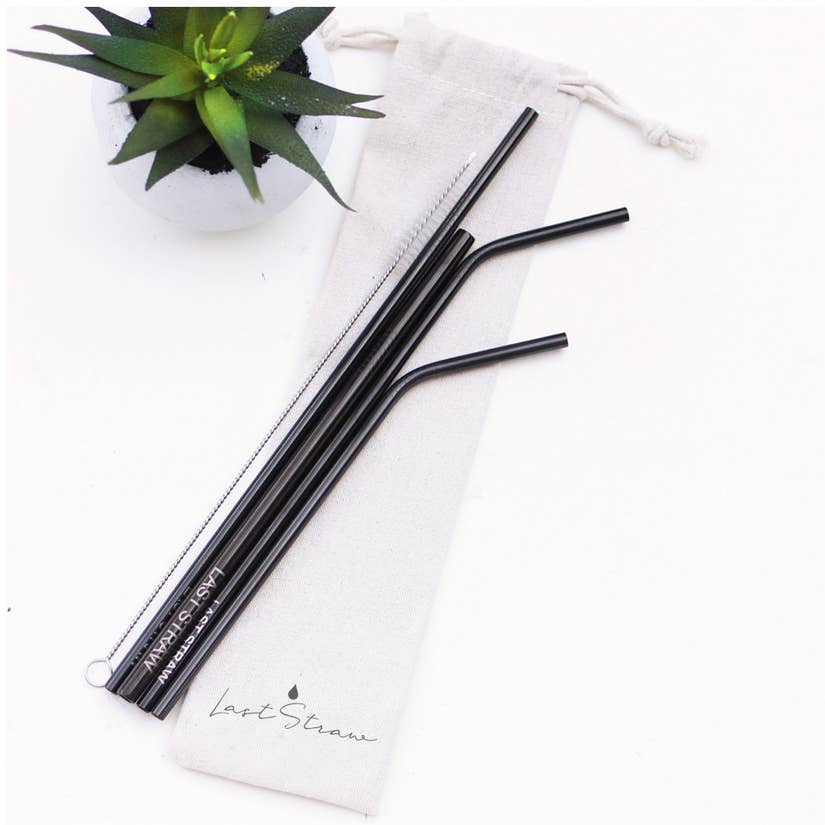 Stainless Steel Straw Set of 4 - Earth Ahead