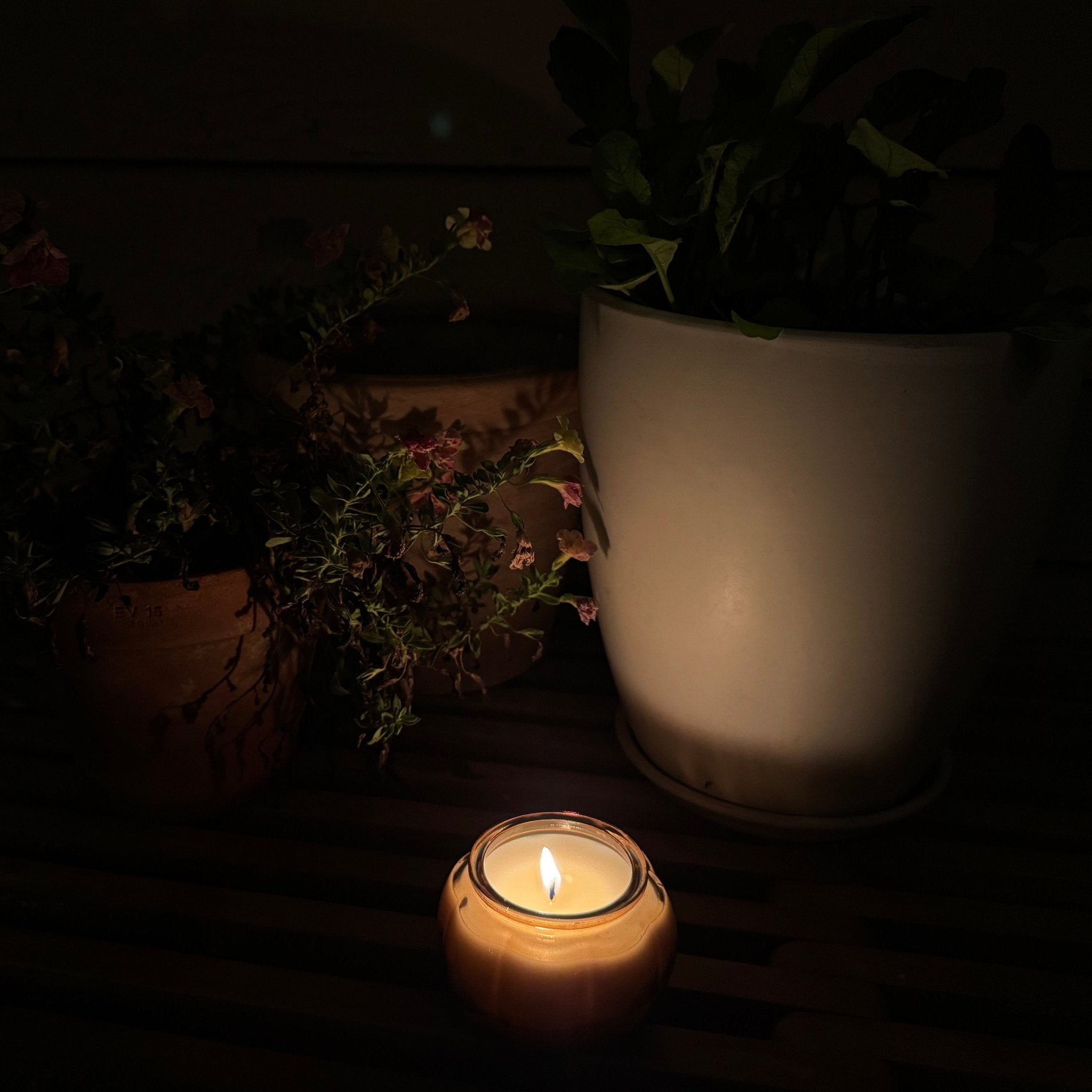 Cacao Nocturne Candle