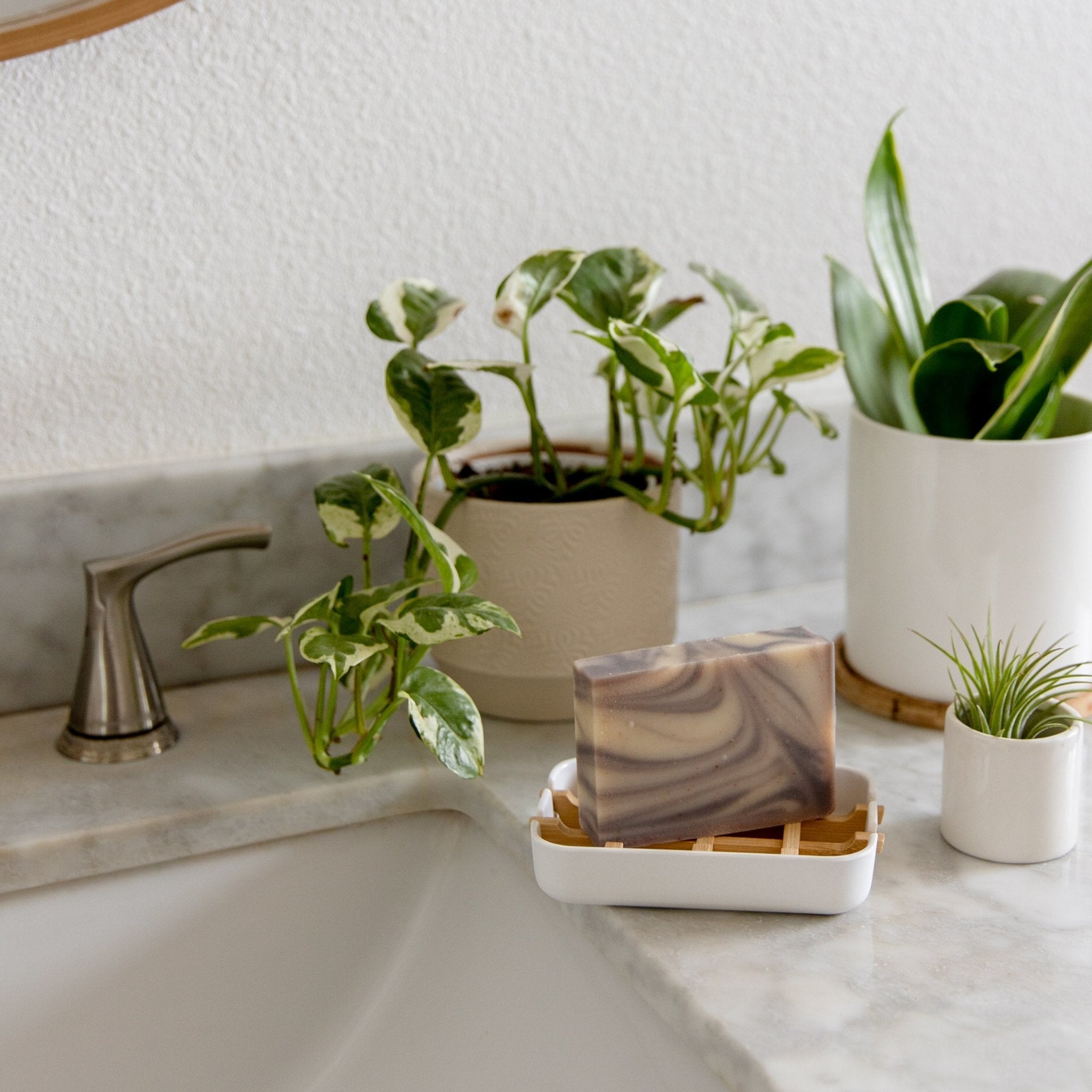 Plant-based Soap Dish Tray - Earth Ahead
