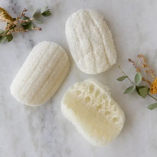 Compostable Eco Dish Sponge 3-Pack - opened and wetted sponges for washing dishes sustainably.