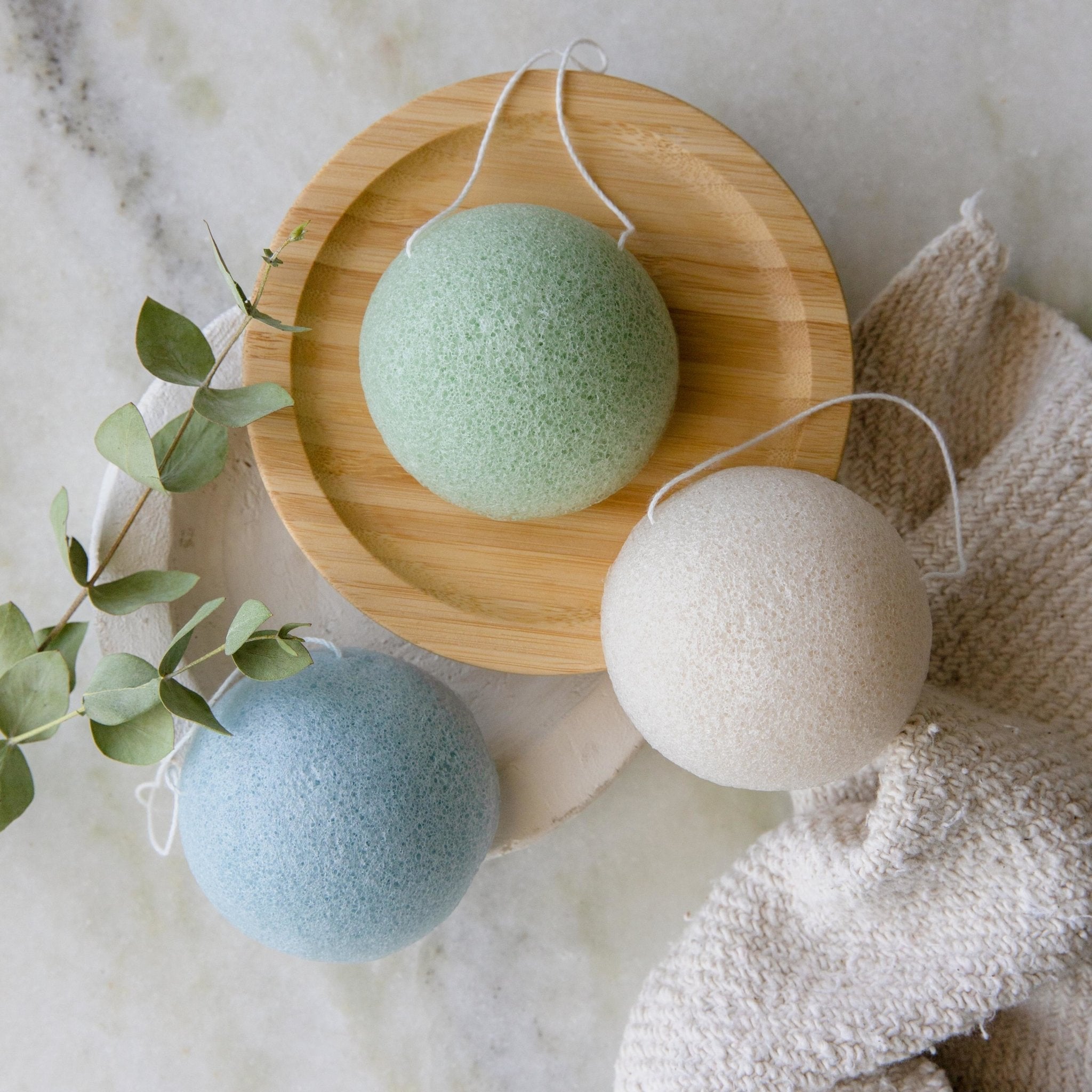 Three konjac facial sponges in green, blue, and natural white shades with eucalyptus plant