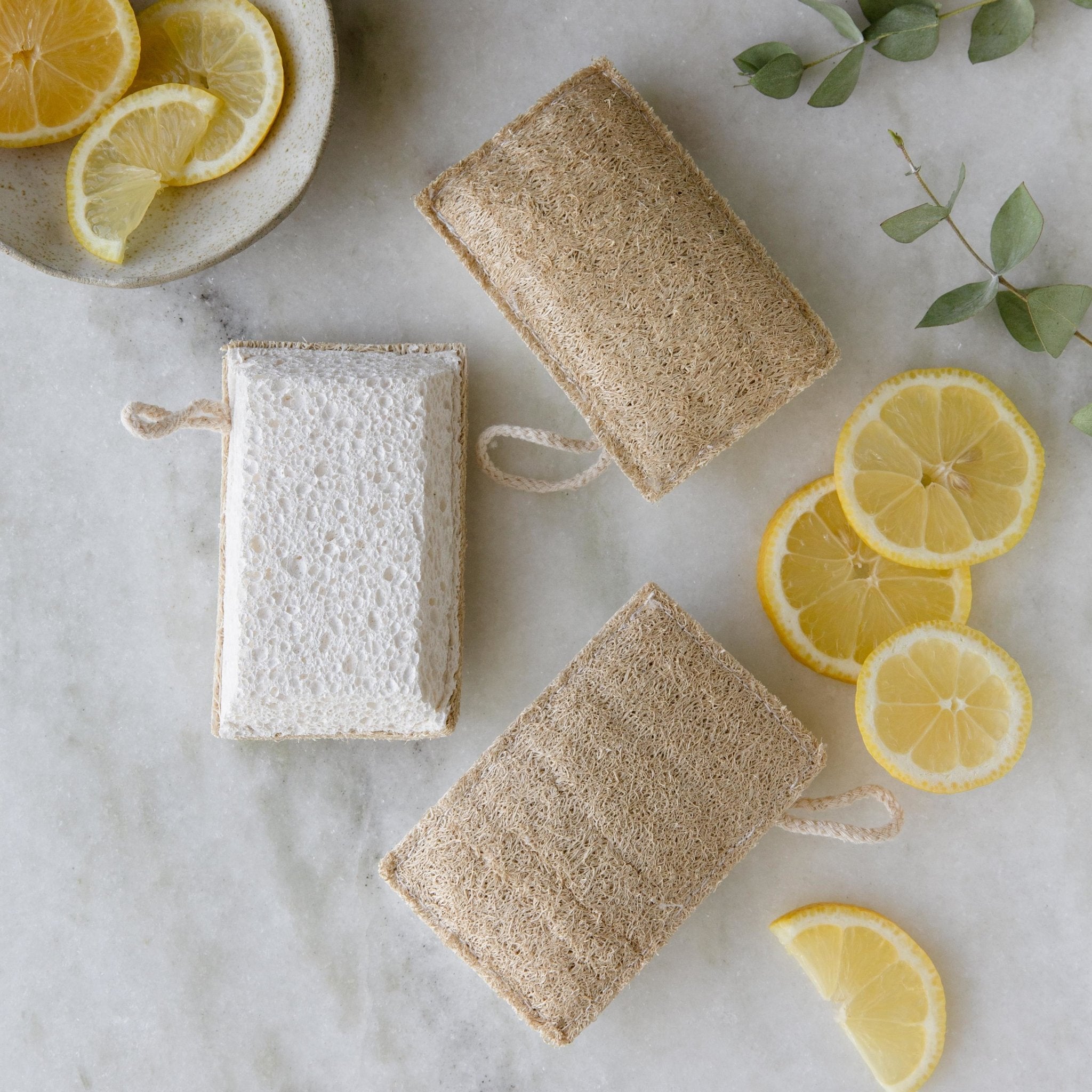 Loofah & Cellulose Cleaning Sponge - Earth Ahead