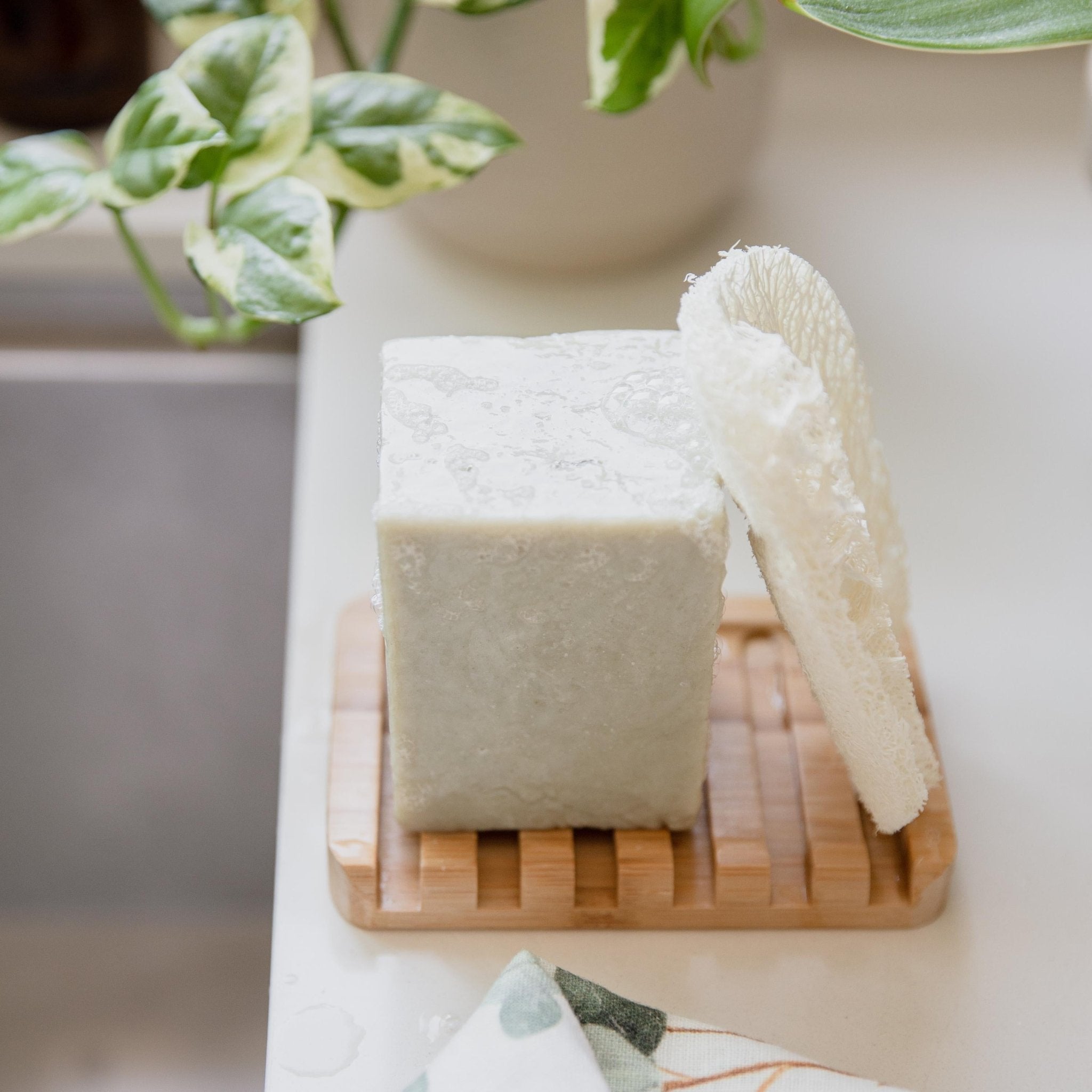 Natural Solid Dish Soap 11.5 oz - Earth Ahead