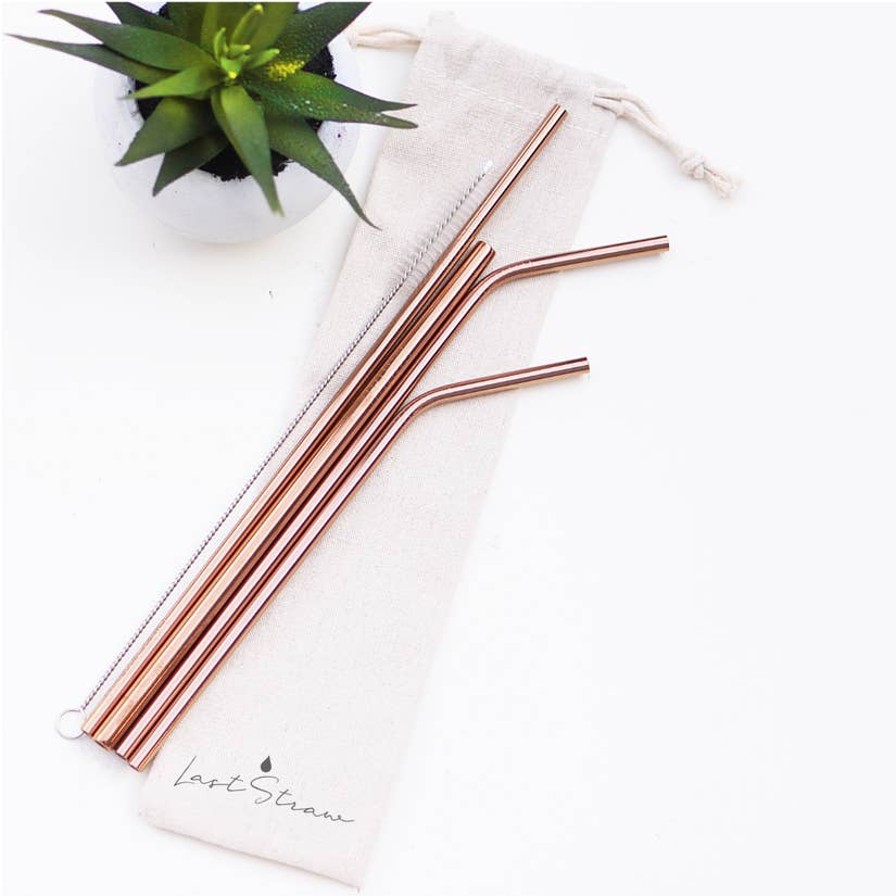 Stainless Steel Straw Set of 4 - Earth Ahead